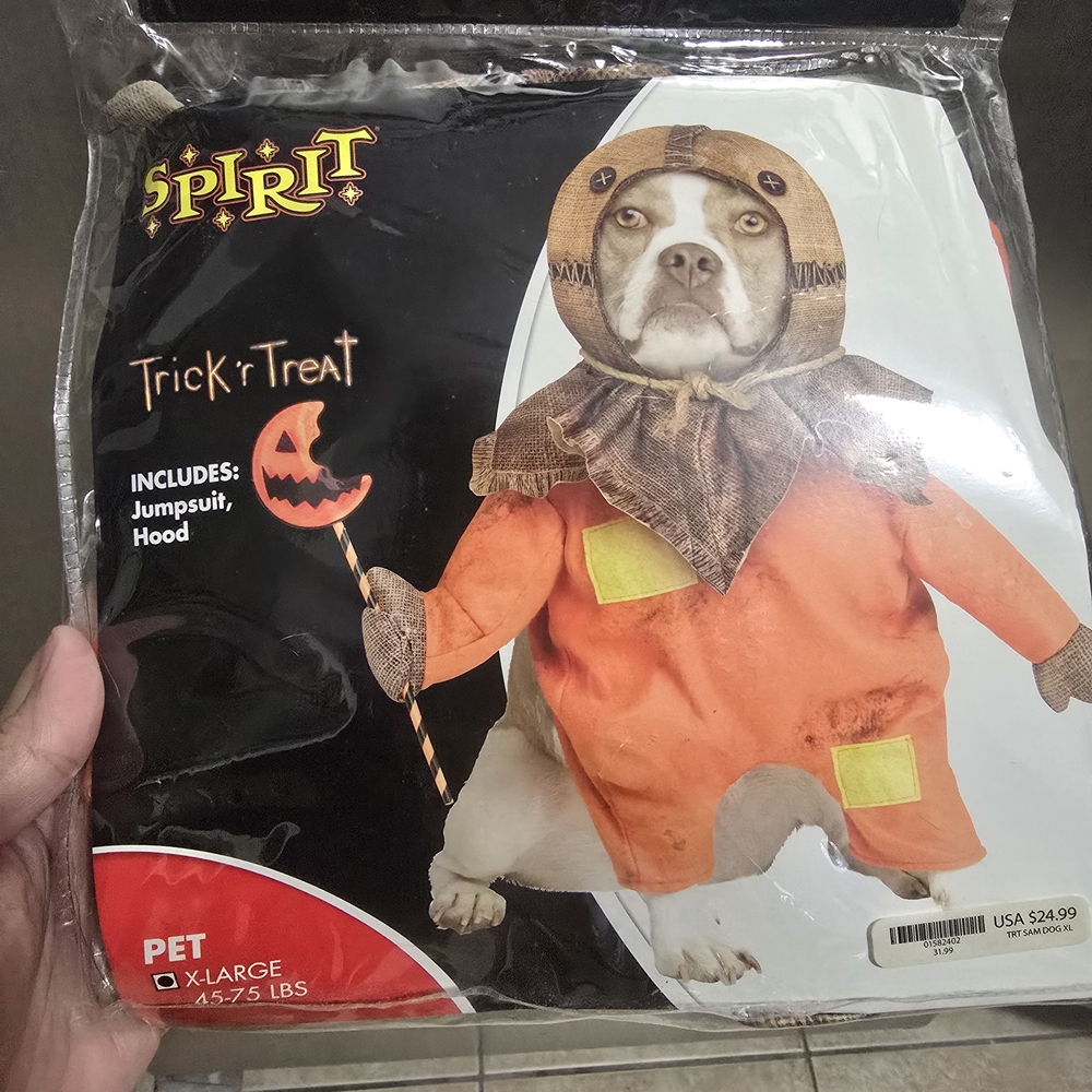 Spirit Pet Halloween Costume - Orange and Brown